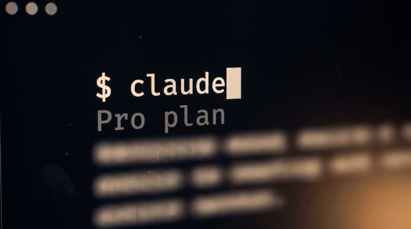 Terminal running the claude command with a Pro plan status line
