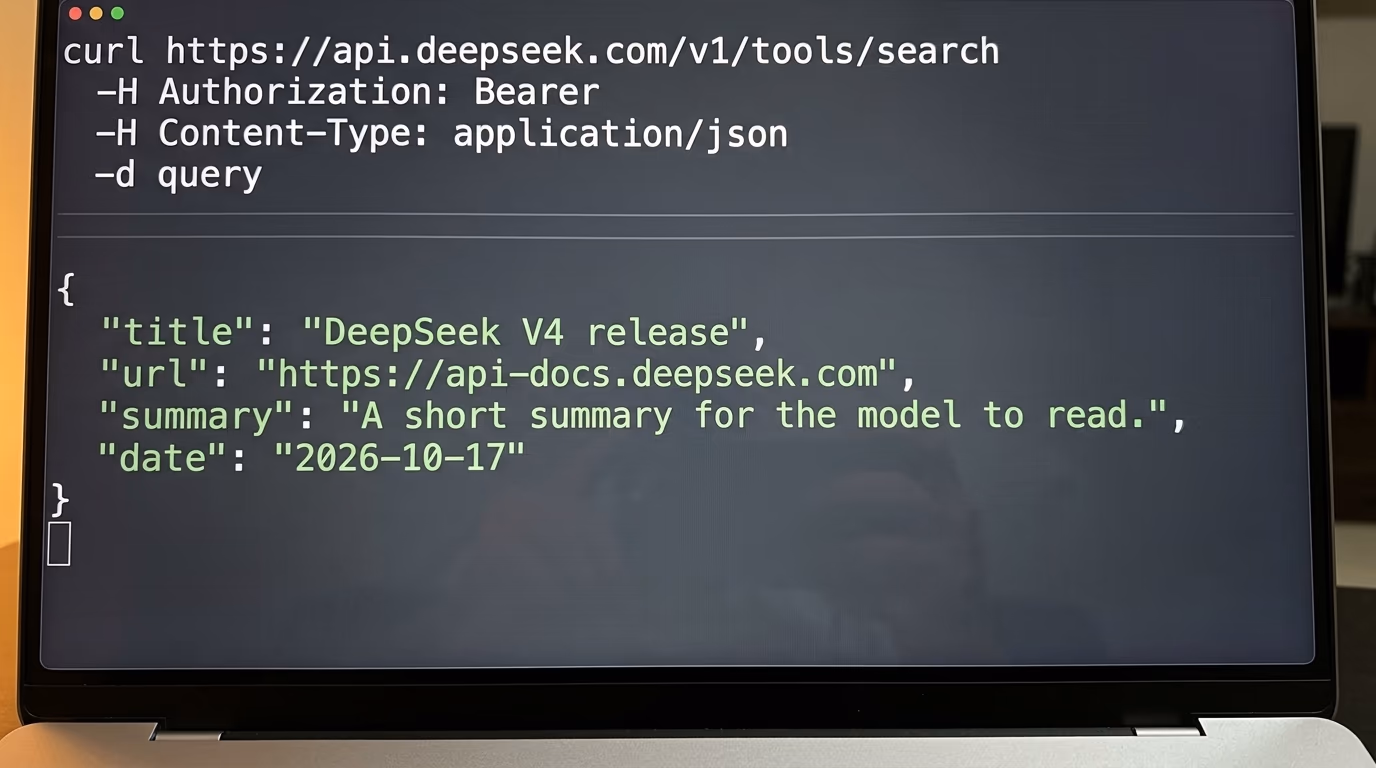 A terminal running the DeepSeek search API request with the JSON response below it