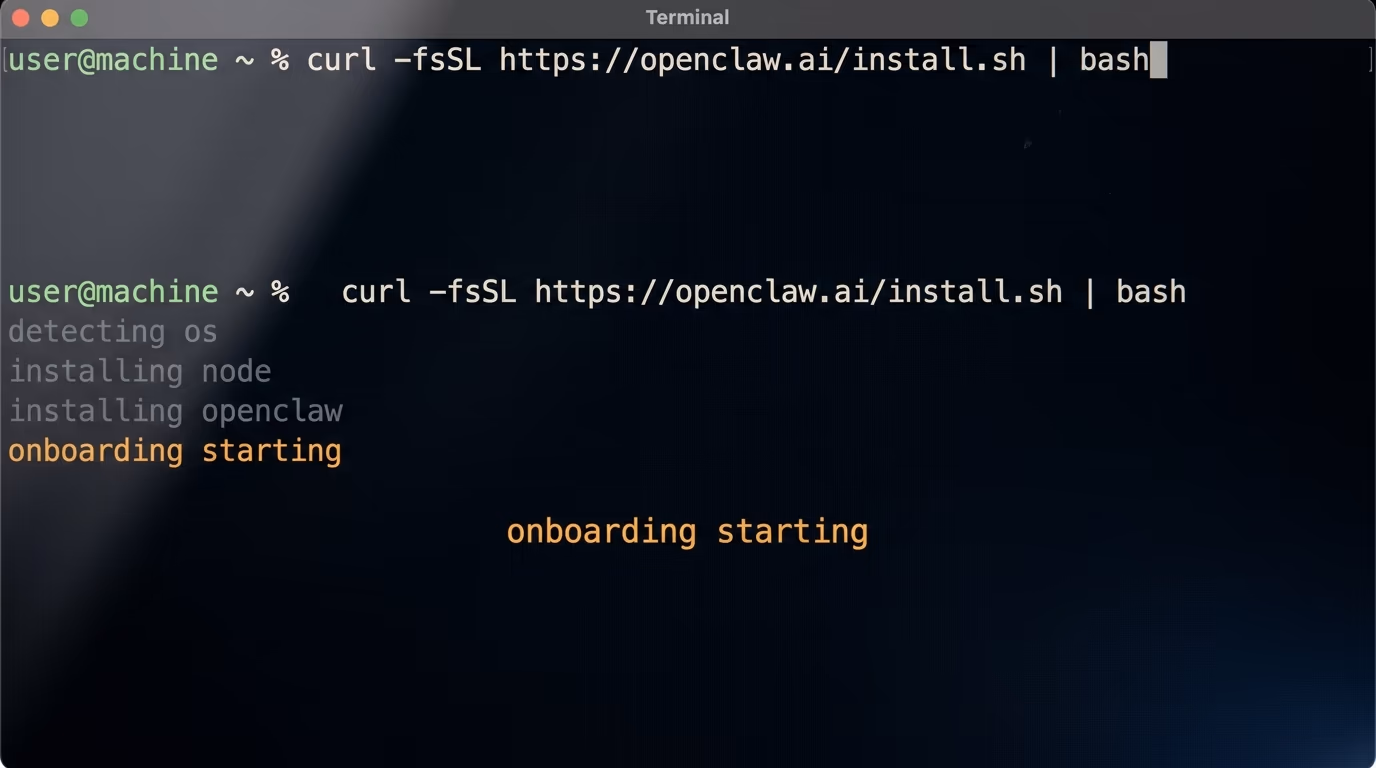 The OpenClaw install command running in the macOS Terminal application